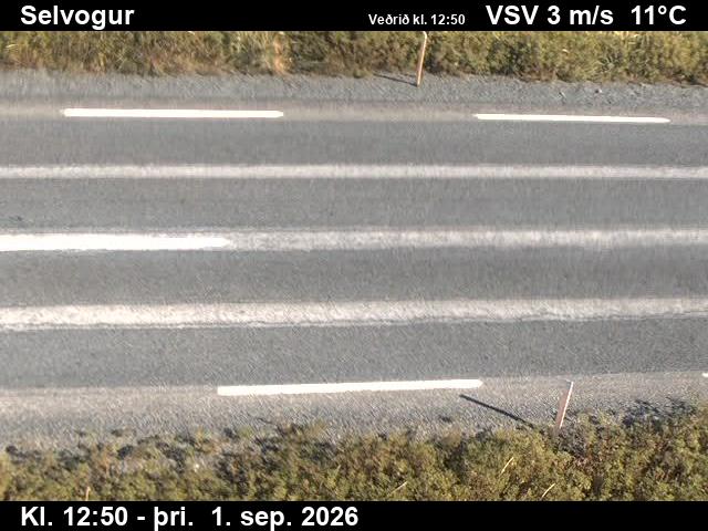 selvogur_2-1788274871.jpg