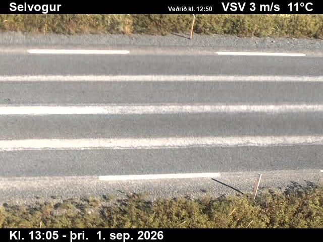 selvogur_2-1788275141.jpg