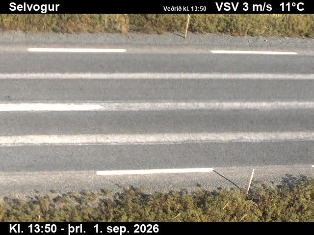 selvogur_2-1788278507.jpg