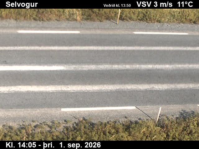 selvogur_2-1788278769.jpg