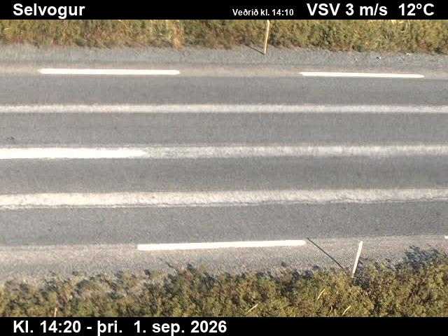 selvogur_2-1788279959.jpg