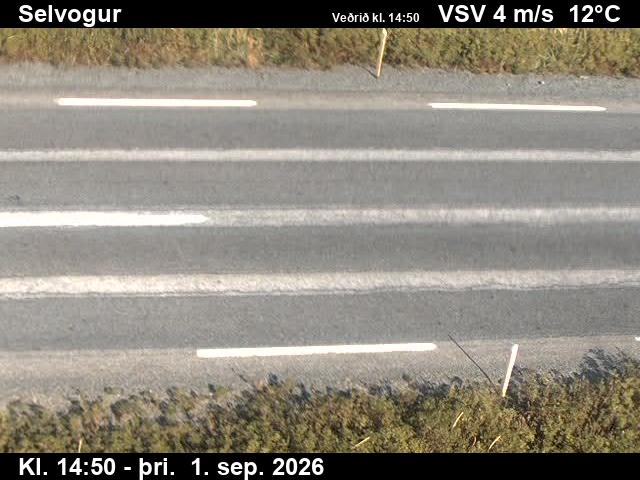 selvogur_2-1788282085.jpg