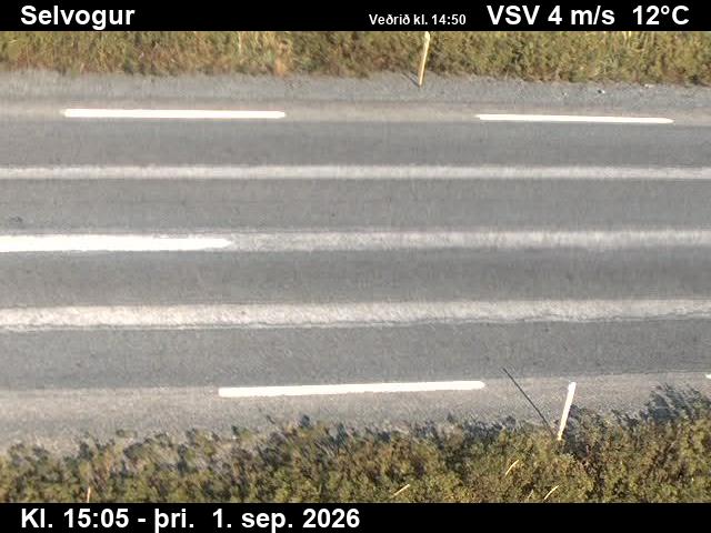 selvogur_2-1788282390.jpg