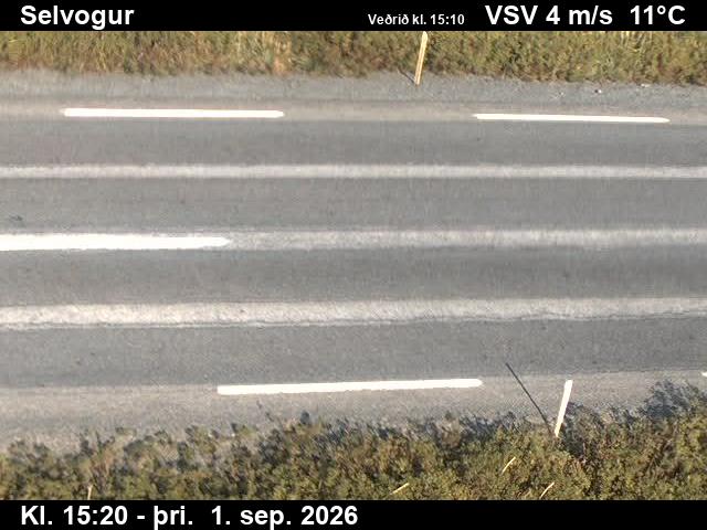 selvogur_2-1788283574.jpg