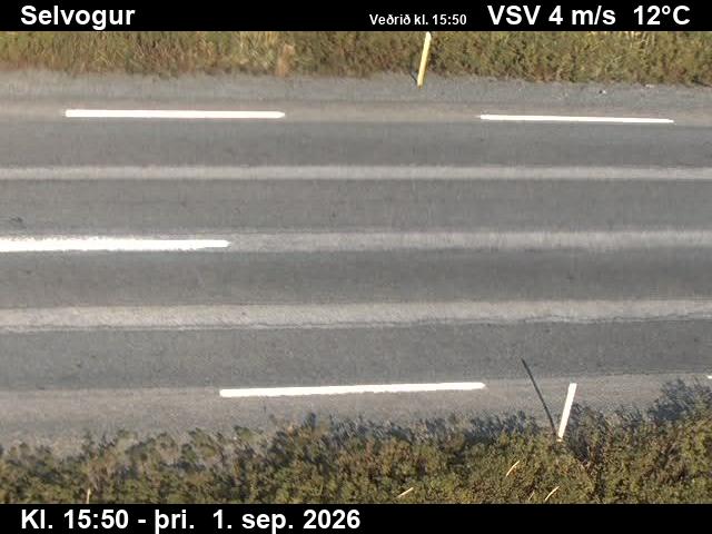 selvogur_2-1788285714.jpg