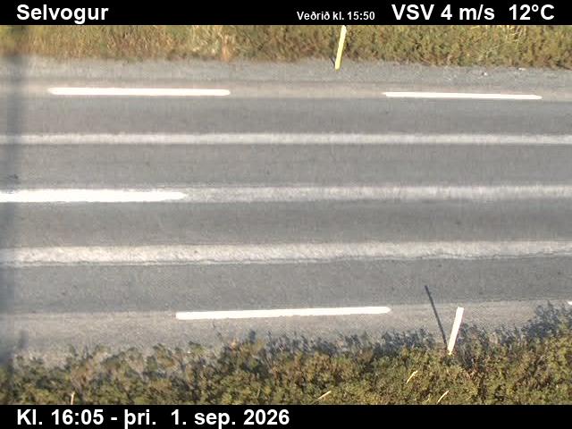 selvogur_2-1788285946.jpg