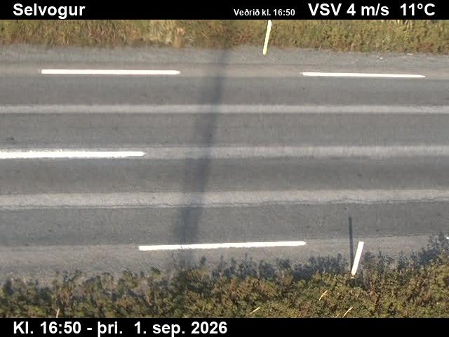 selvogur_2-1788289299.jpg