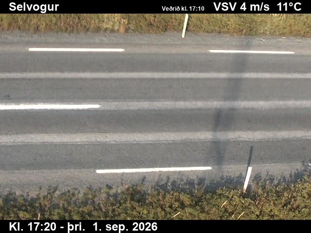 selvogur_2-1788290760.jpg