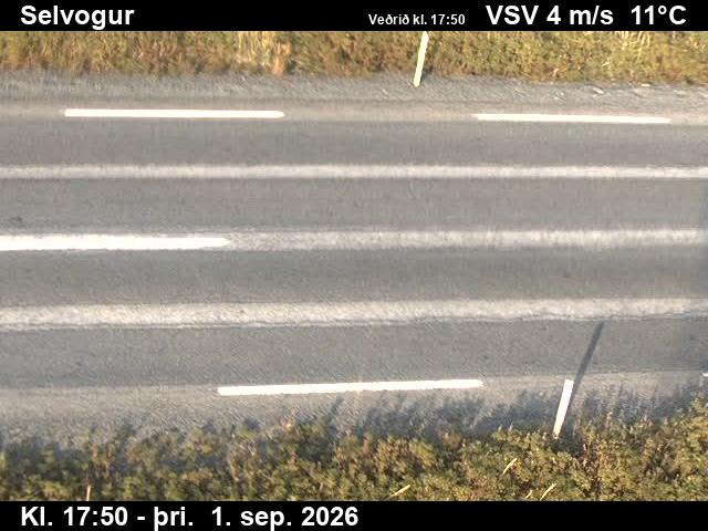 selvogur_2-1788292891.jpg