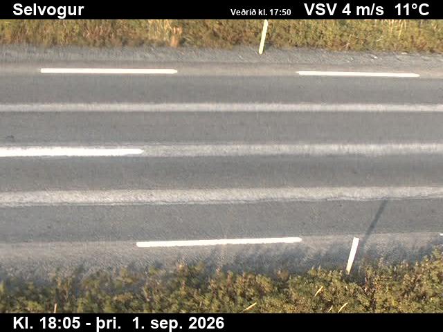 selvogur_2-1788293202.jpg