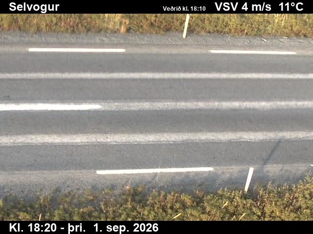 selvogur_2-1788294339.jpg