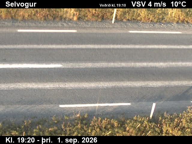 selvogur_2-1788297932.jpg