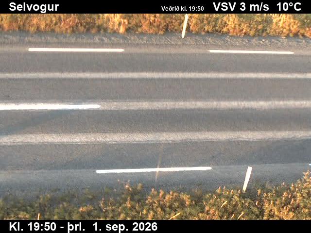 selvogur_2-1788300113.jpg