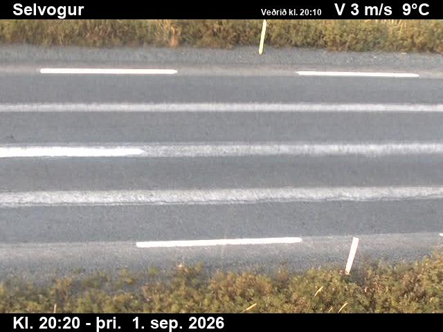 selvogur_2-1788301560.jpg