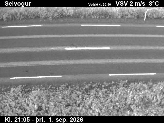 selvogur_2-1788303948.jpg