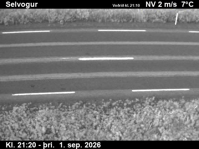 selvogur_2-1788305166.jpg