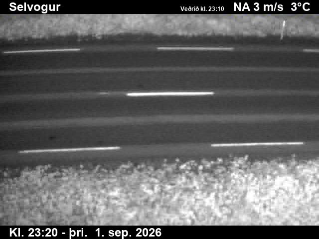 selvogur_2-1788312344.jpg