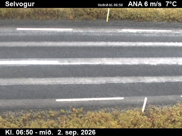 selvogur_2-1788339725.jpg