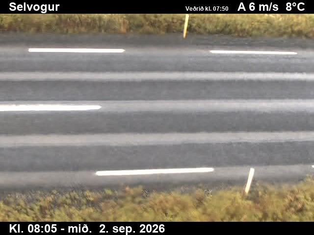 selvogur_2-1788343582.jpg