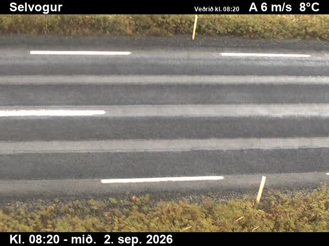 selvogur_2-1788344793.jpg
