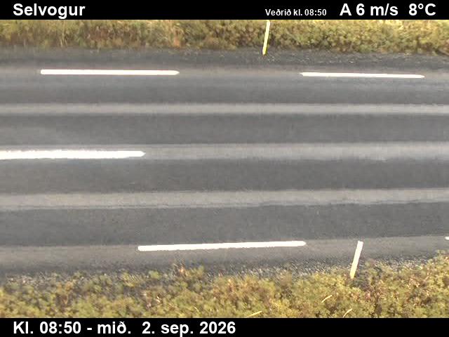 selvogur_2-1788346875.jpg