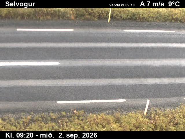 selvogur_2-1788348362.jpg