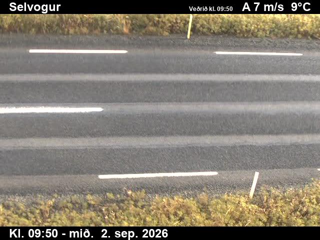 selvogur_2-1788350518.jpg
