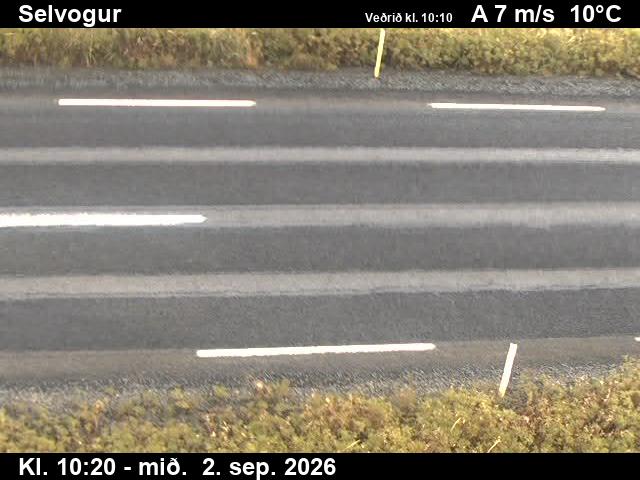selvogur_2-1788351940.jpg