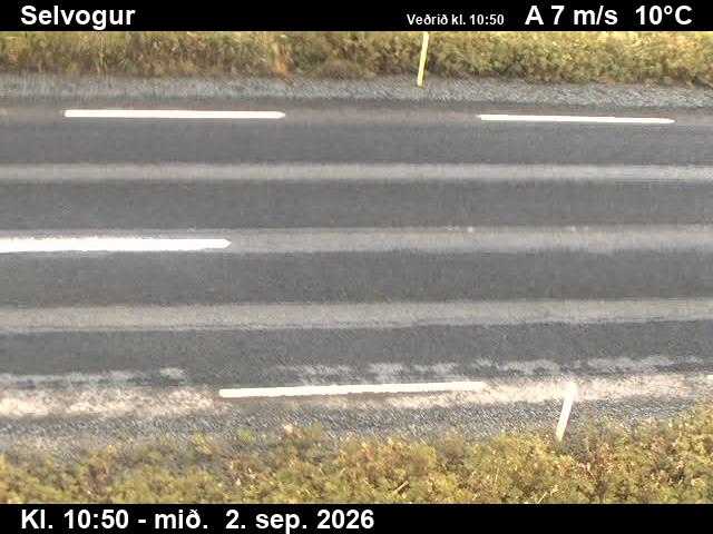 selvogur_2-1788354171.jpg