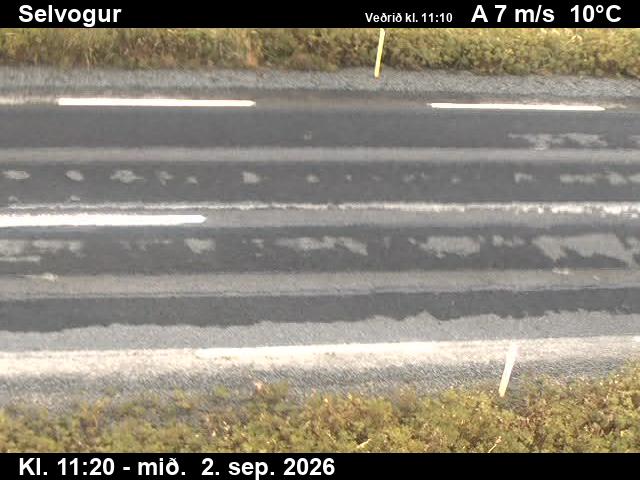 selvogur_2-1788355535.jpg