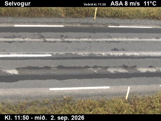 selvogur_2-1788357672.jpg