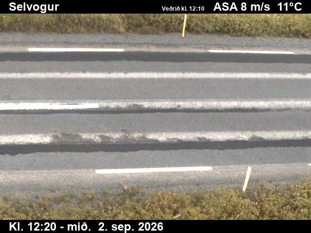 selvogur_2-1788359129.jpg