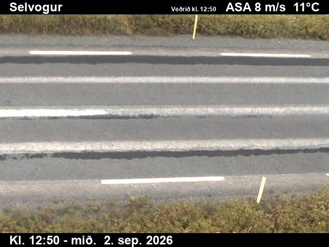 selvogur_2-1788361256.jpg