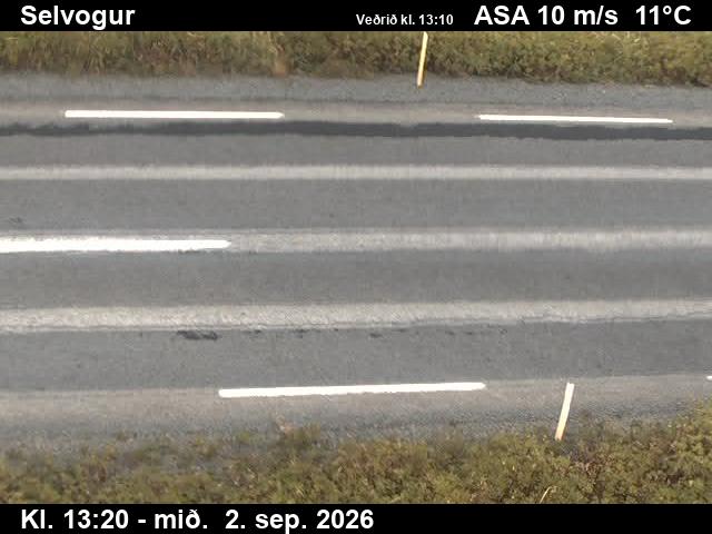 selvogur_2-1788362752.jpg
