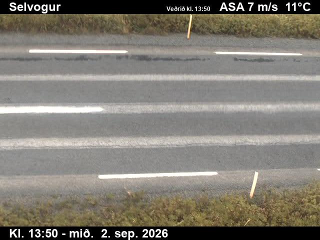 selvogur_2-1788364866.jpg