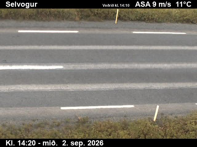 selvogur_2-1788366391.jpg