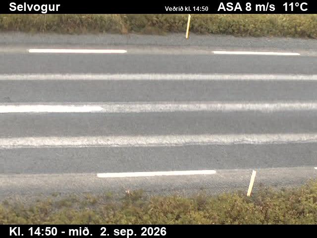selvogur_2-1788368485.jpg