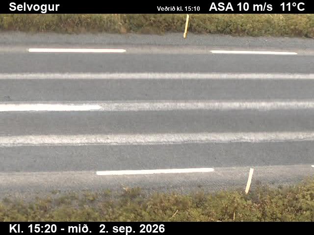 selvogur_2-1788369939.jpg