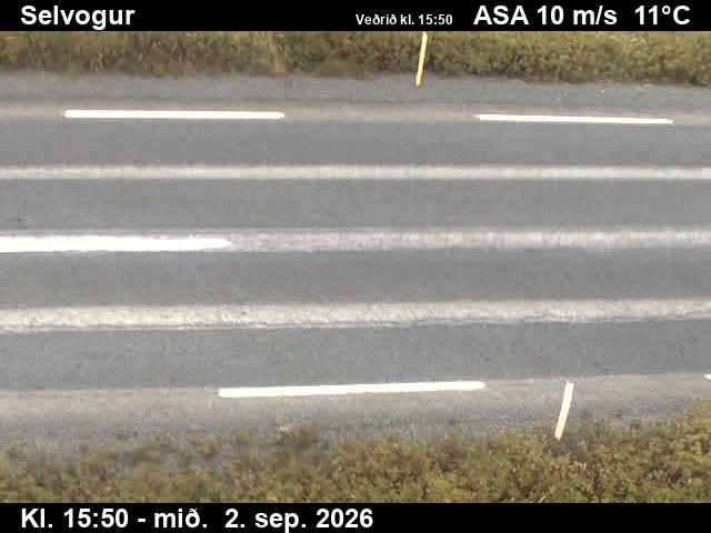 selvogur_2-1788372149.jpg