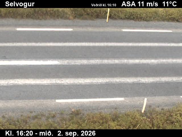 selvogur_2-1788373541.jpg