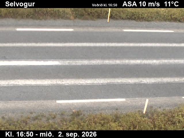 selvogur_2-1788375679.jpg