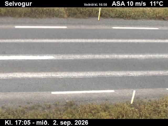 selvogur_2-1788375971.jpg