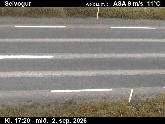 selvogur_2-1788377151.jpg