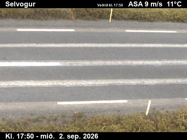 selvogur_2-1788379277.jpg