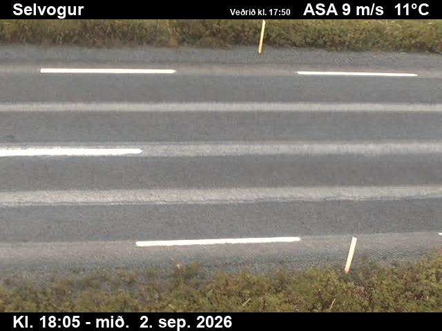 selvogur_2-1788379558.jpg