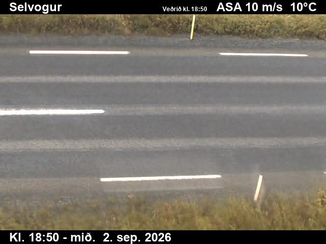 selvogur_2-1788382872.jpg