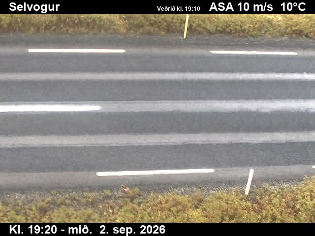 selvogur_2-1788384354.jpg