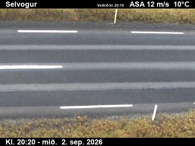 selvogur_2-1788387948.jpg
