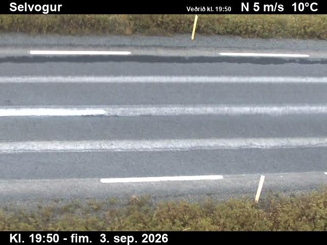 selvogur_2-1788473003.jpg