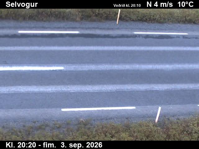selvogur_2-1788474385.jpg